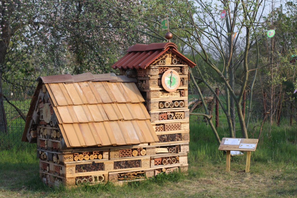 Das Insektenhotel in Sachau (Foto: Antje Montenbruck)